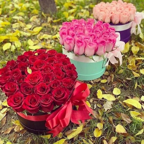 خرید انواع گل برای برای تبریک نوزاد تازه متولد شده