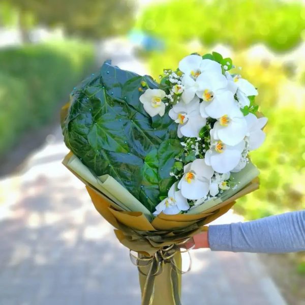 باکس ولنتاین سبز