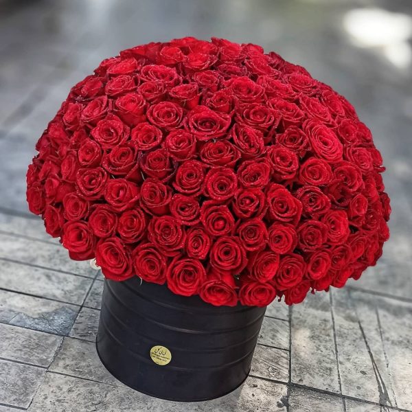 عکس باکس ولنتاین پسرانه