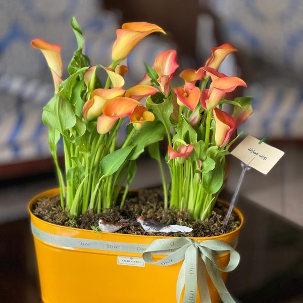 پیشنهاد گل و هدیه روز مادر